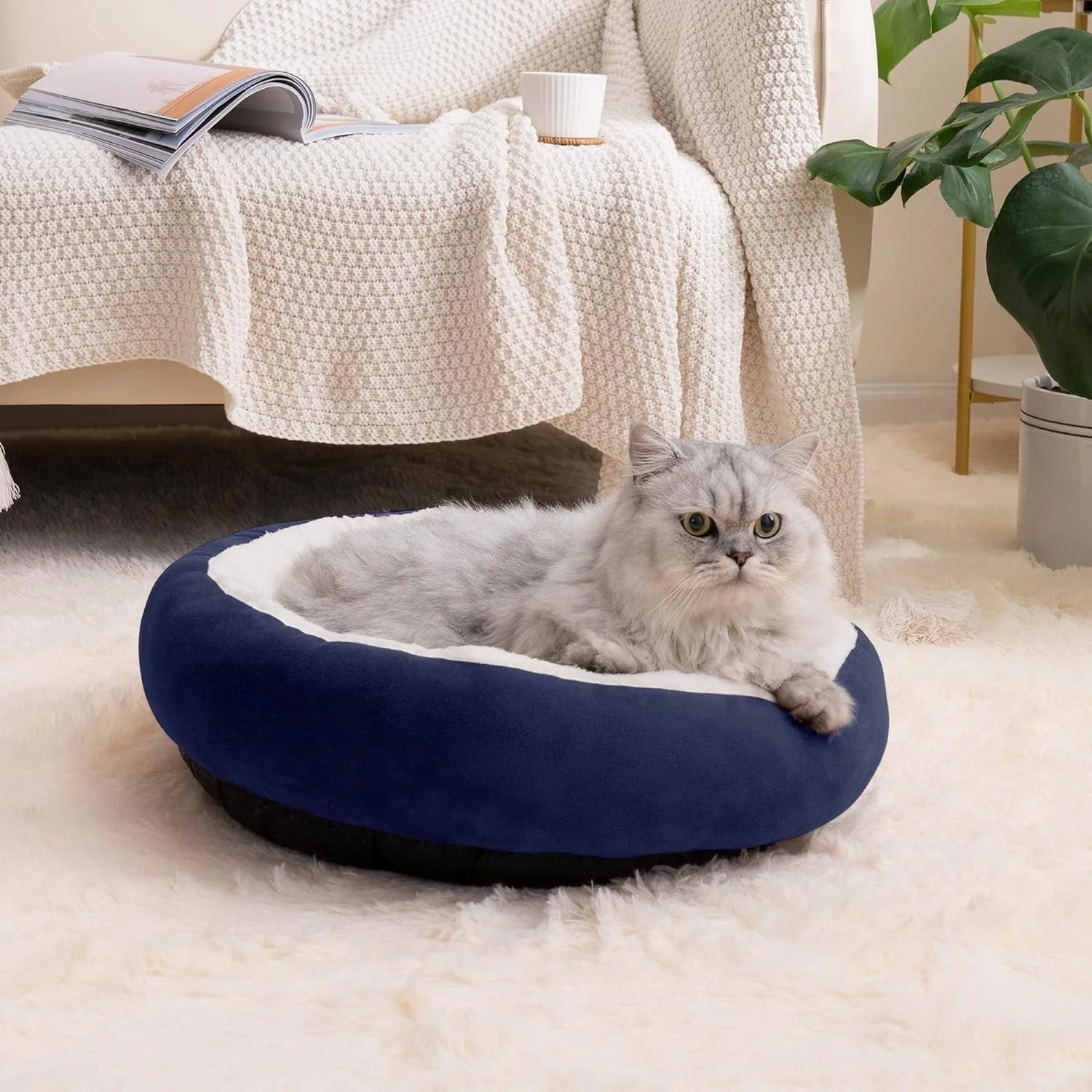 Cat bed