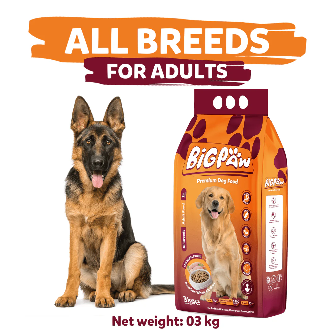 BigPaw Adult Dog Food 3kg | Complete Nutrition for Dogs