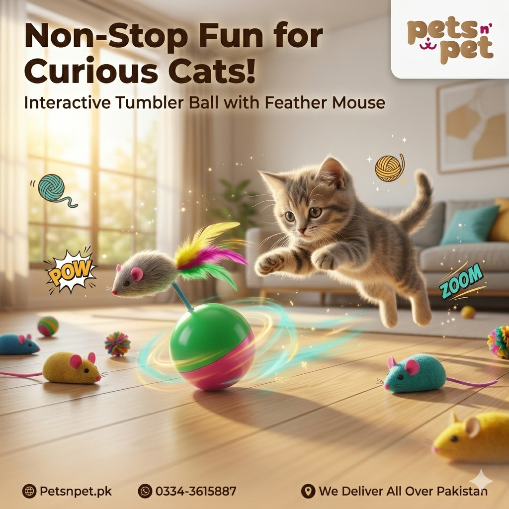 Cat Tumbler Ball Toy with Feather Mouse for Fun Play