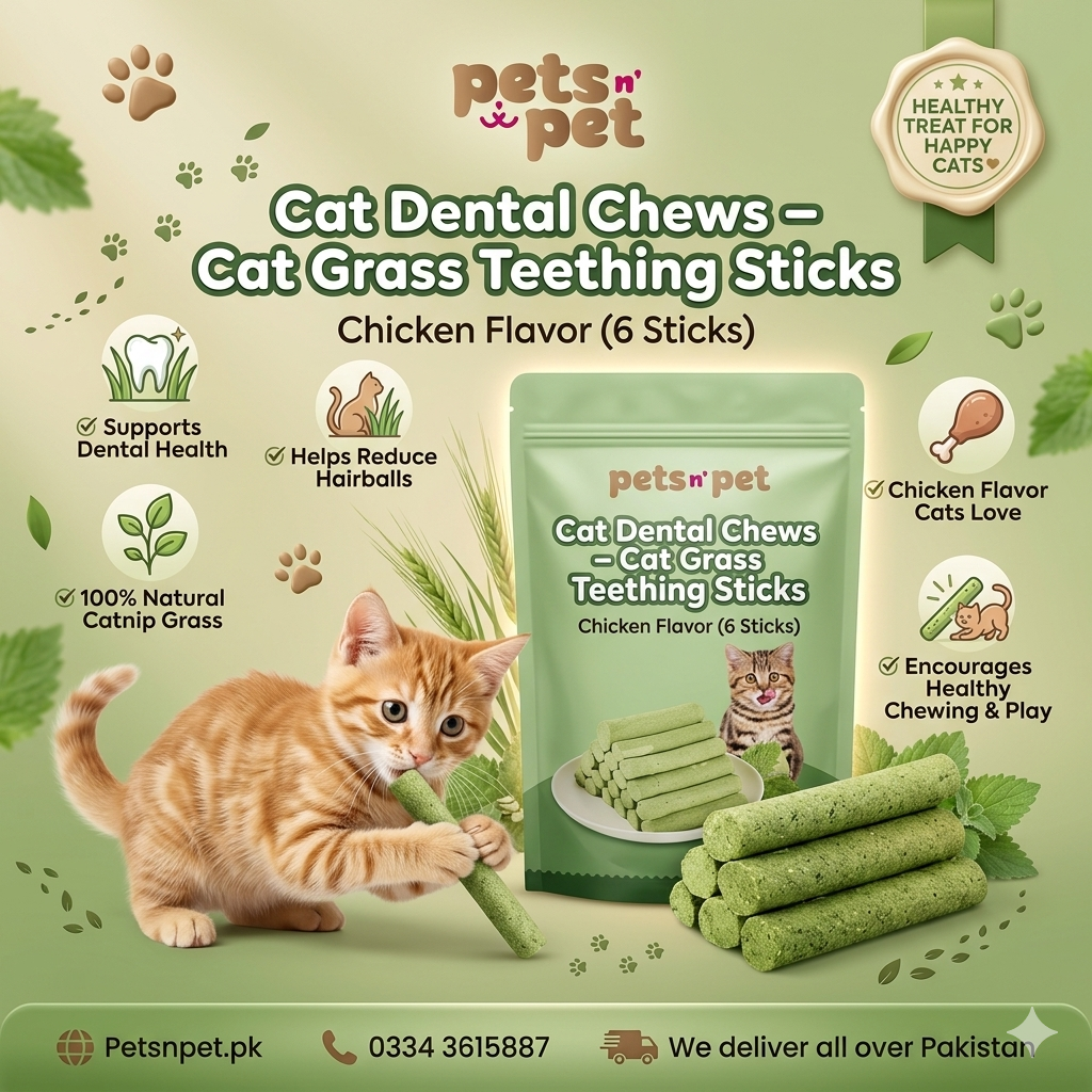 Cat grass stick