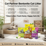 Cat partner cat litter