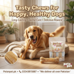 Reward your furry friend with our Pack of 2 Dog Treats & Chew Bones — the perfect combo of taste and nutrition! These delicious chew bones are made to satisfy your dog’s