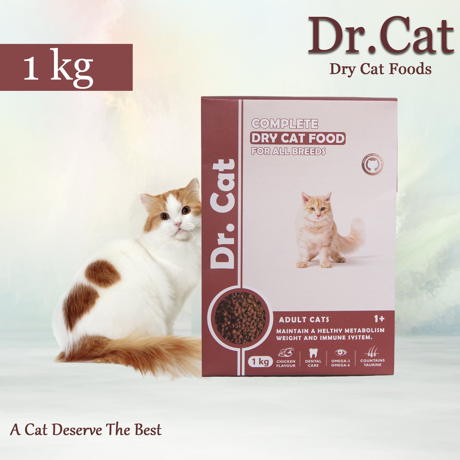 Dr. Cat Food – Chicken Flavor | 500g & 1kg | Complete Nutrition for All Life Stages