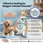Alpha Wound Guard: Antibiotic, antiseptic, pain relief for maggot treatment