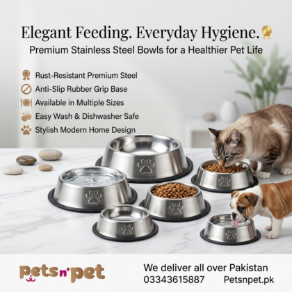 Decent Style Stainless Steel Food Bowls for Pets – Premium Quality in Multiple Sizes