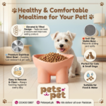Pet Region® Elevated Tilt Pet Bowl – Ergonomic Neck Protector & Anti-Vomit Food Bowl for Cats and Small Dogs
