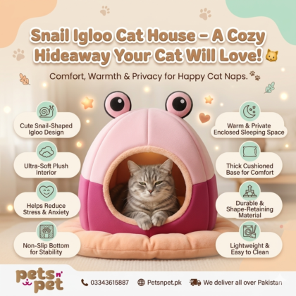 Snail Igloo Cat House