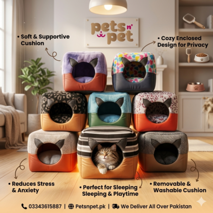 House-Cum-Bed-for-Pets