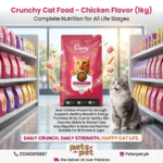 πΎ Crunchy Cat Food β Chicken Flavor (1kg) | Complete Nutrition for All Life Stages