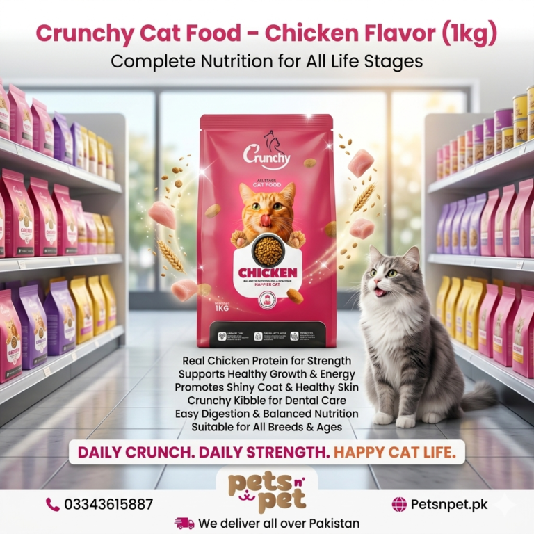 🐾 Crunchy Cat Food – Chicken Flavor (1kg) | Complete Nutrition for All Life Stages
