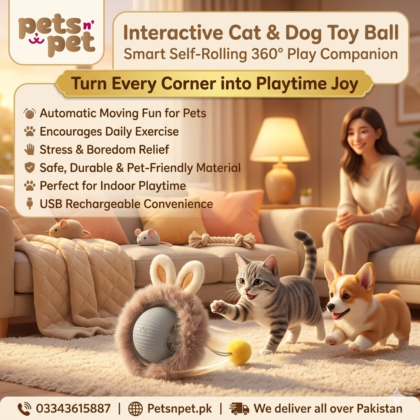 🐾 Interactive Cat & Dog Toy Ball – Smart Self-Rolling 360° Rotating Ball | Best Price in Pakistan