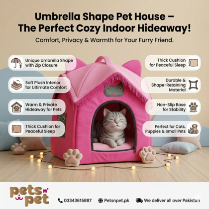 Cat house