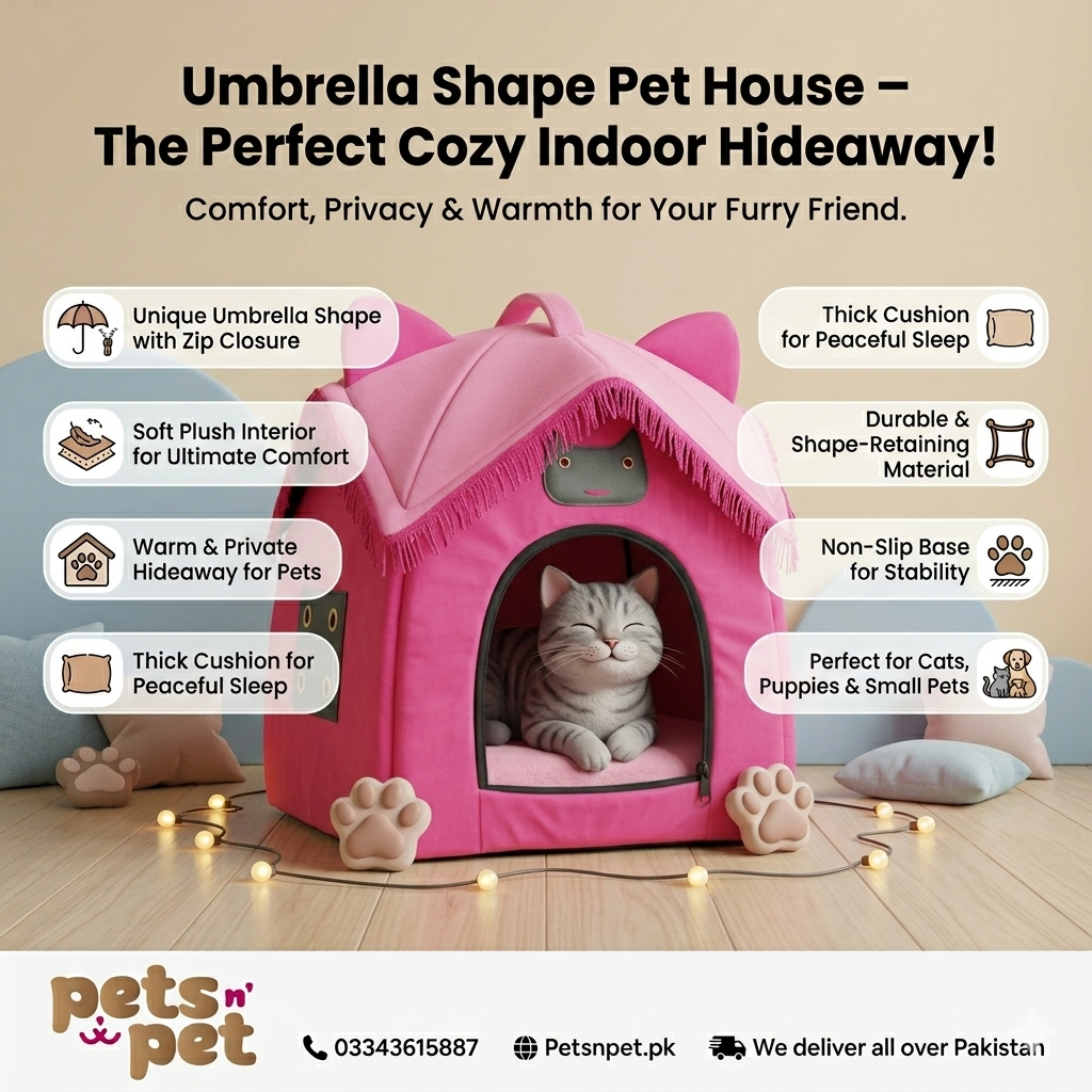 Cat house