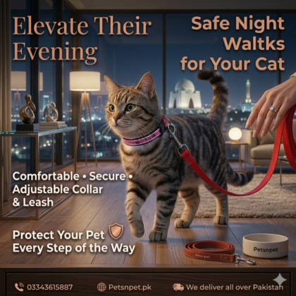 cat collar harness