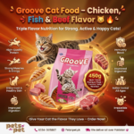 Groove Cat food food 450g Chicken