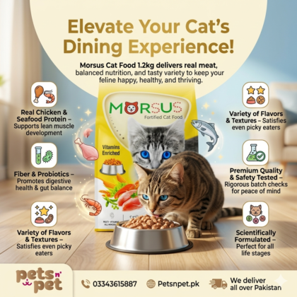 Discover the excellence of Morsus Cat Food, a true benchmark in feline nutrition designed to support peak vitality and lifelong wellness. Each recipe is crafted with precision