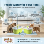 Smart Automatic Pet Feeder & Water Fountain – Fresh Meals & Hydration for Cats & Dogs