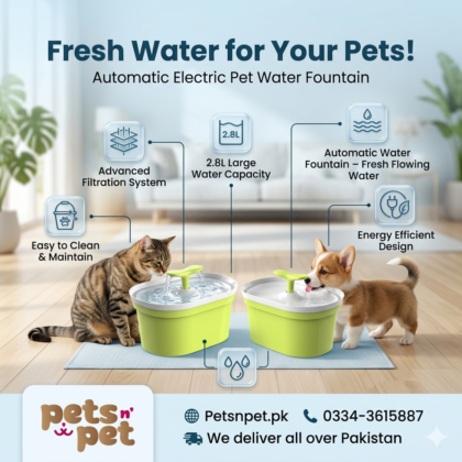 Smart Automatic Pet Feeder & Water Fountain – Fresh Meals & Hydration for Cats & Dogs