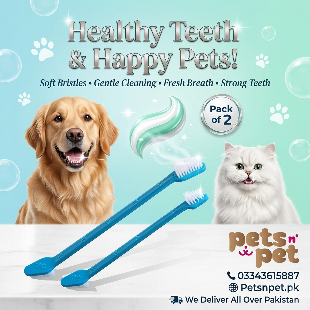 Pack of 2 Pet Toothbrushes for Cats & Dogs – Pakistan