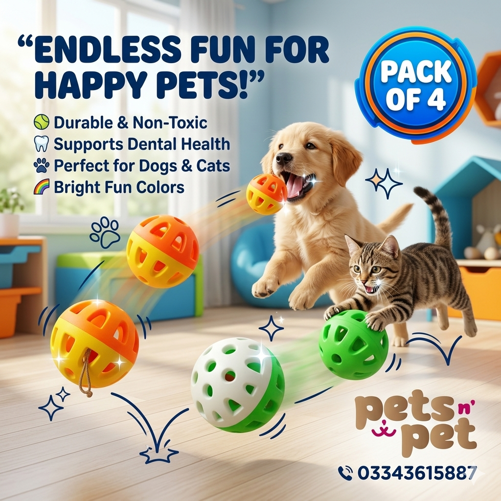 Pack of 4 Durable Pet Ball Toys – Safe, Fun & Healthy Playtime
