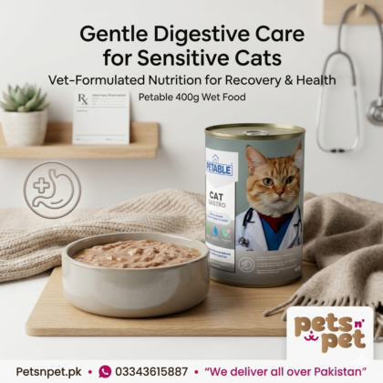 Petble catat gestro food