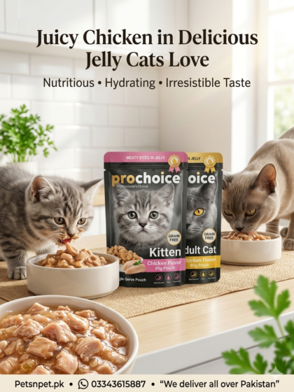 Prochoice jelly food