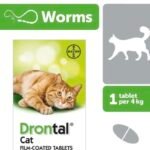 Drontal dewaorming tablet