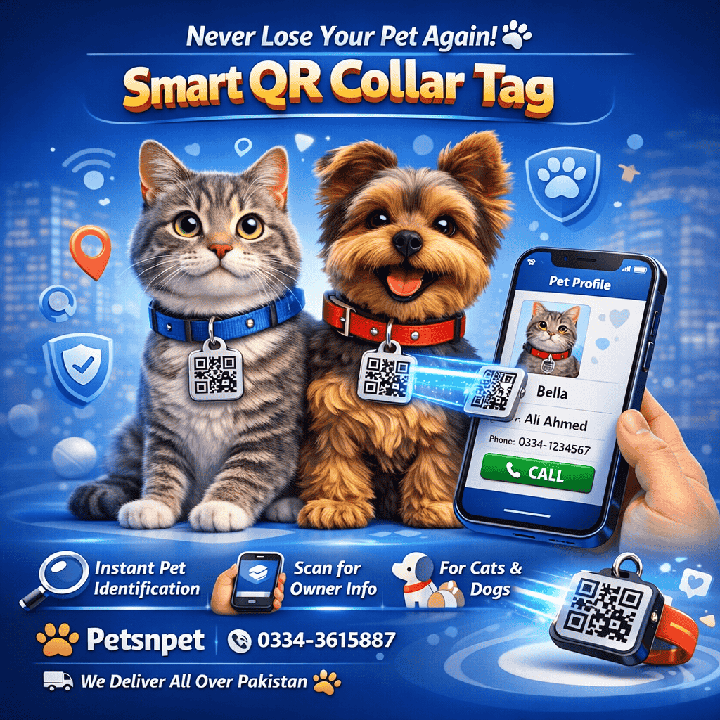 Customized Pet Name Tag with QR Code for Cats & Dogs – Smart Pet ID & Safety Tag
