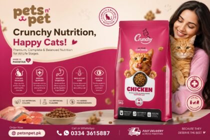 crunchy cat food all stages