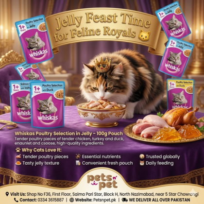 Whiskas Cat Food Pouch 12pcs Box Mix Flavor– Nutritious, Flavor-Rich Wet Food for Happy, Healthy Cats