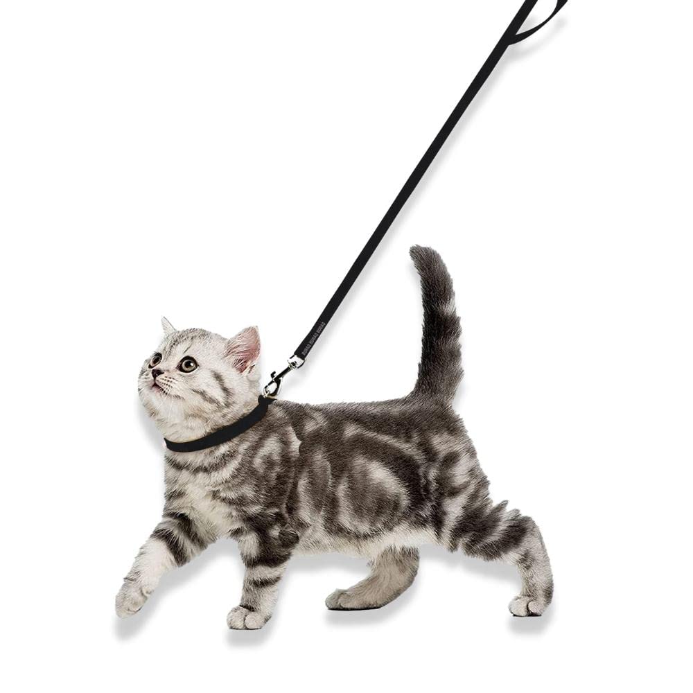 Cat collar with Leash for Cats outing and safety - Image 2
