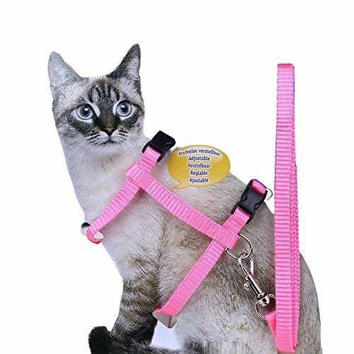 Adjustable Cat Harness with Leash for Outdoor Cat Walk - Image 3