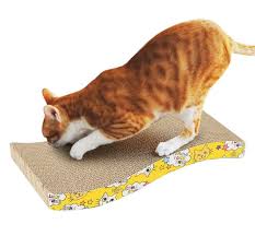 Cat scratching board
