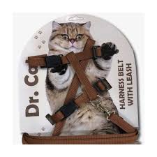 Adjustable Cat Harness with Leash for Outdoor Cat Walk - Image 4
