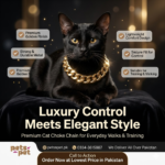 Buy Cat Choke Collar Chain Golden Online in Pakistan at Lowest Price
