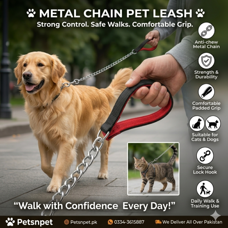 🐾 Metal Chain Cat and Dog Leash with Padded Handle – Strong, Safe & Comfortable Control for Everyday Walks