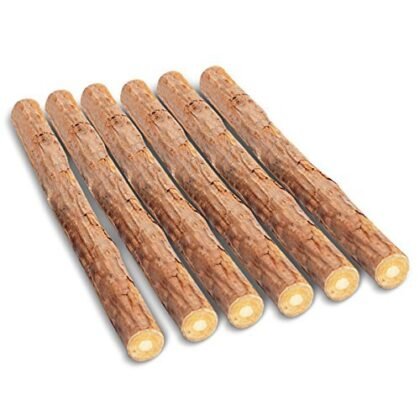 Buy Natural Catnip Sticks for Cats Online in Pakistan | Fun & Healthy Cat Treat