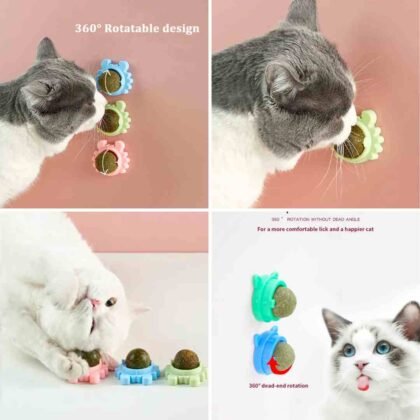 🐱 Catnip Ball Toy Wall Stick for Cats – Interactive Fun, Natural Stimulation & Healthy Playtime