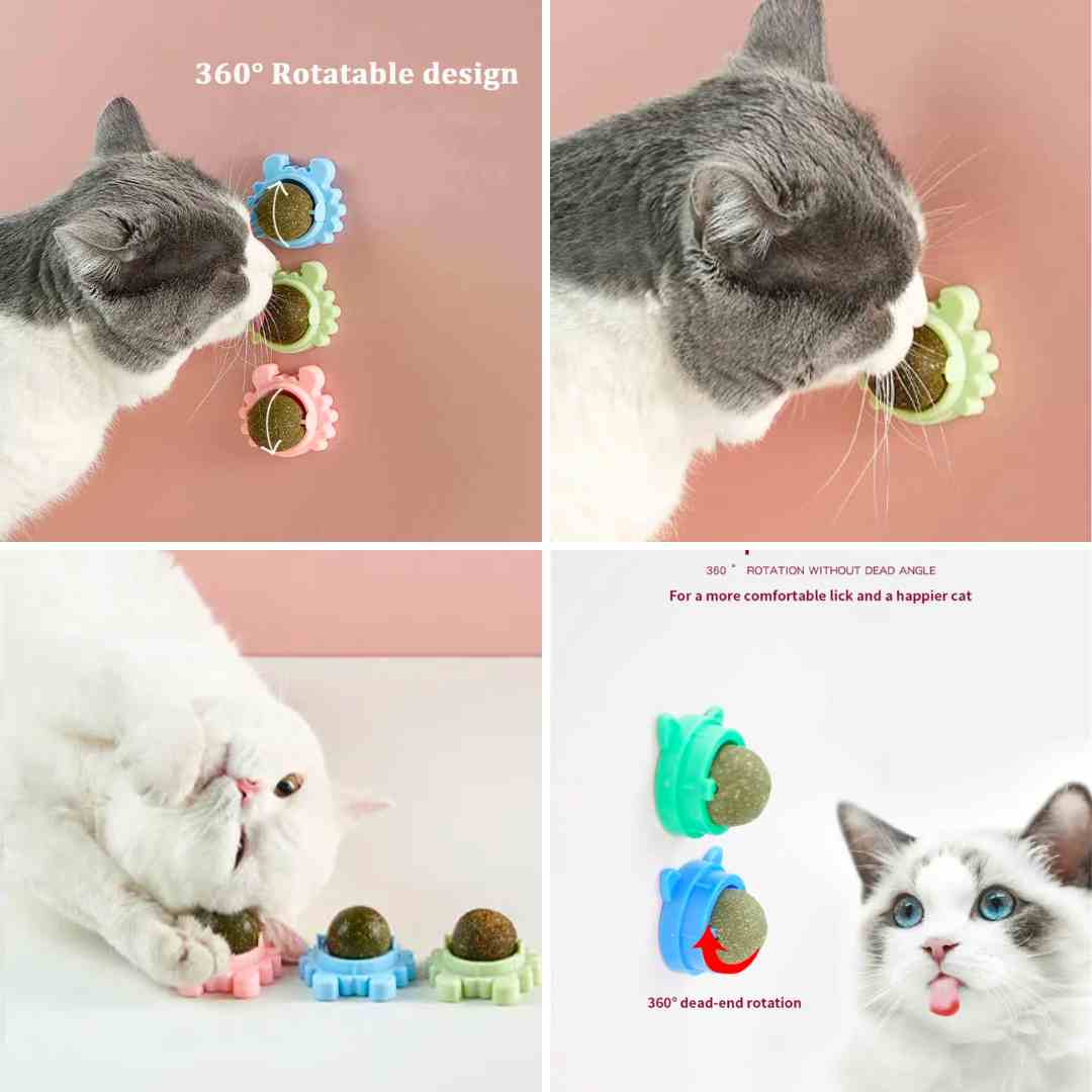 🐱 Catnip Ball Toy Wall Stick for Cats – Interactive Fun, Natural Stimulation & Healthy Playtime