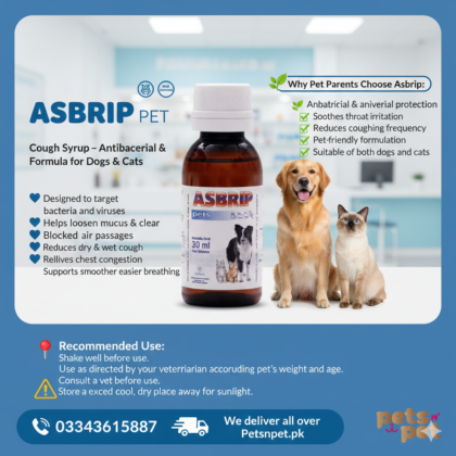 🐶 Asbrip Pet Cough Syrup – Antibacterial & Antiviral Support for Dogs and Cats
