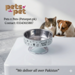 High-Footed Anti~Tipping Neck support Pet food Bowl