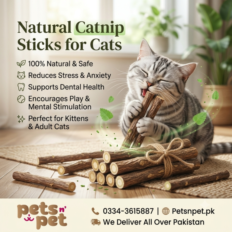 Buy Natural Catnip Sticks for Cats Online in Pakistan | Fun & Healthy Cat Treat