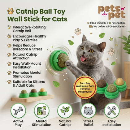 🐱 Catnip Ball Toy Wall Stick for Cats – Interactive Fun, Natural Stimulation & Healthy Playtime
