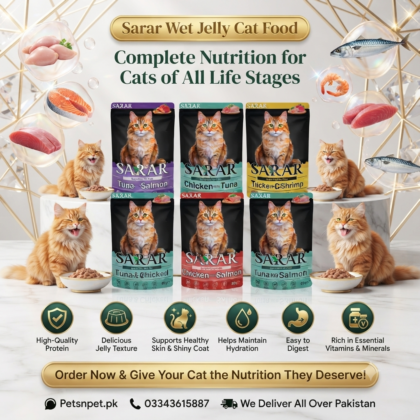Buy Sarar Wet Jelly Cat Food for All Life Stages Online in Pakistan