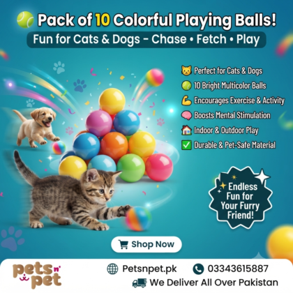 Multicolor Pack of 10 Balls for Cats and Dogs – Fun Interactive Playing Toys