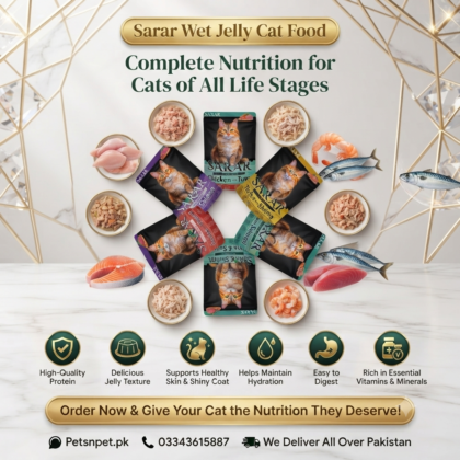 Buy Sarar Wet Jelly Cat Food for All Life Stages Online in Pakistan