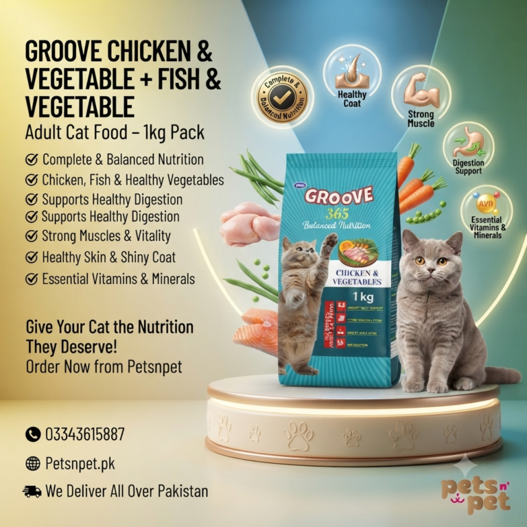 Groove 365 Chicken & Vegetable + Fish & Vegetable Adult Cat Food 1kg Pack – Complete & Balanced Nutrition for Cats