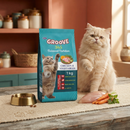 Groove 365 Chicken & Vegetable + Fish & Vegetable Adult Cat Food 1kg Pack – Complete & Balanced Nutrition for Cats