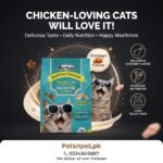 Petyum Cat Food Chicken Flavor 1.2kg – Nutritious Cat Food in Pakistan