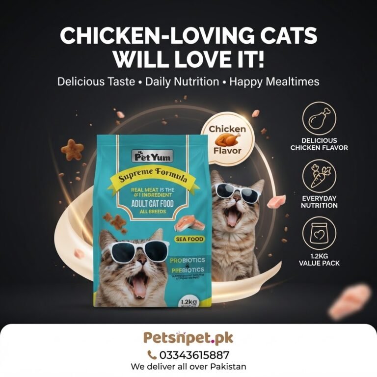 Petyum Cat Food Chicken Flavor 1.2kg – Nutritious Cat Food in Pakistan